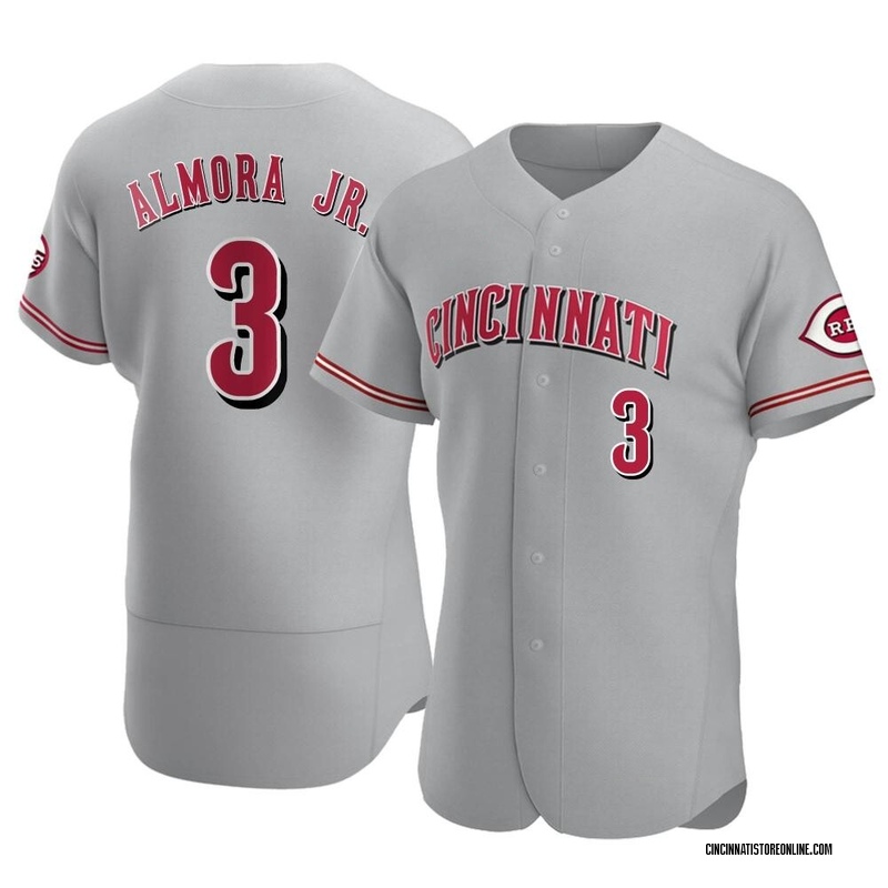 Albert Almora Jr. Men's Cincinnati Reds Road Jersey - Gray Authentic