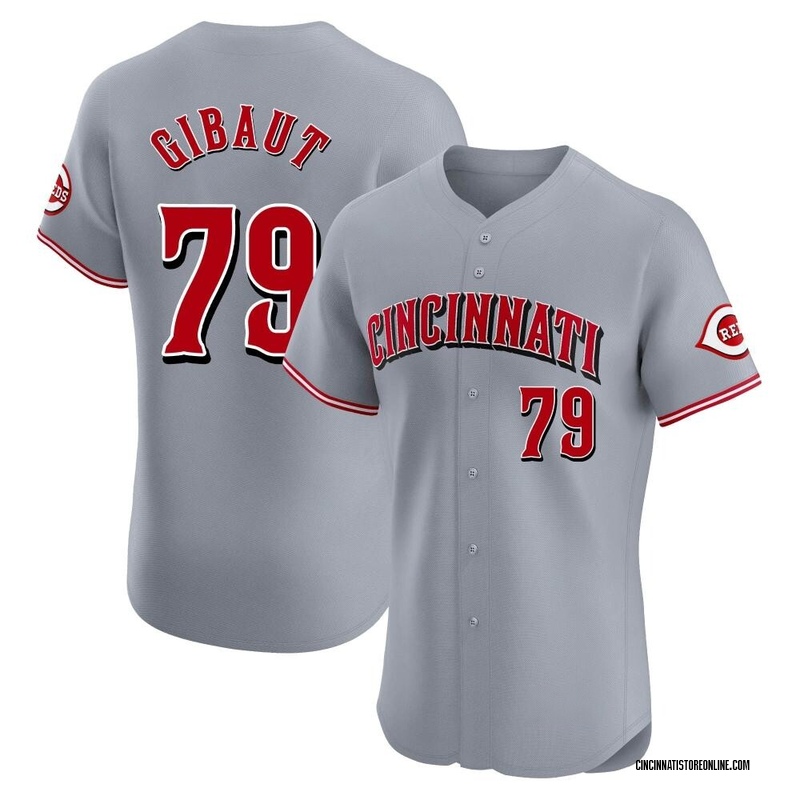 Ian Gibaut Men's Cincinnati Reds Road Jersey - Gray Elite